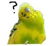 675965718