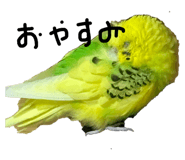 675965720