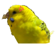 675965725