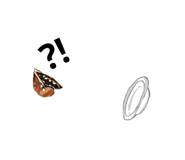 675967003