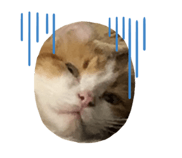 675973760