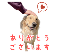 675987377