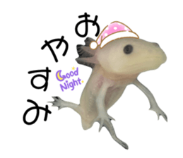 675992663