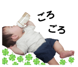 675996684