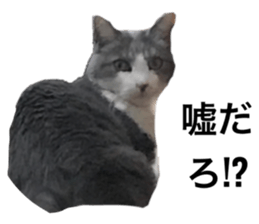 676008131
