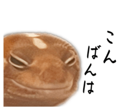 676008808