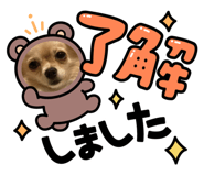 676010241