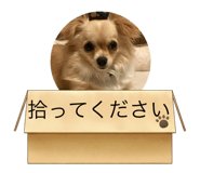 676010266