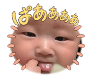 676039384