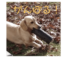 676041410
