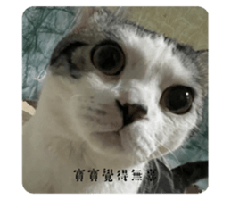 676042923