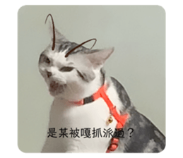676042925
