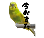 676045655