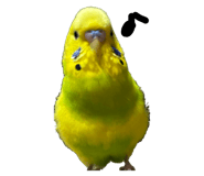 676045661