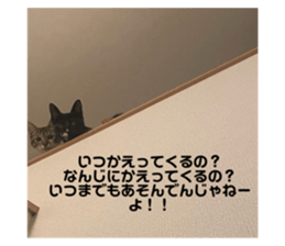676046587