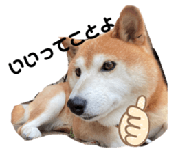 676046991