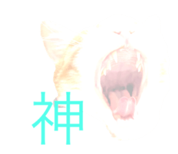 676052296
