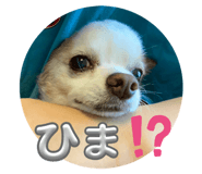 676054506