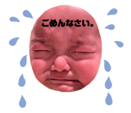 676055870