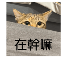 676058842