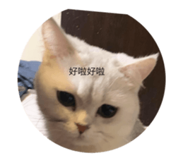 676087831
