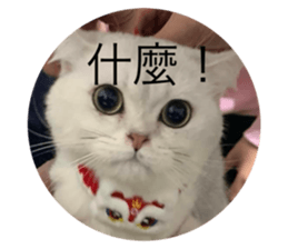 676087833