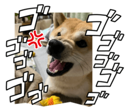 676096281