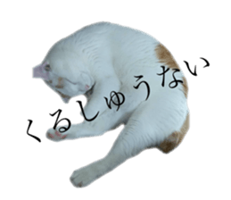 676099625