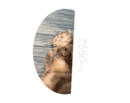 676122735