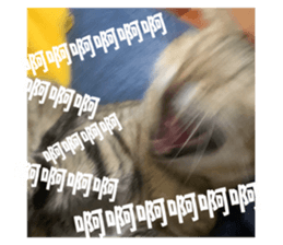 676136941