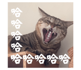 676136942