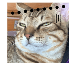 676136954