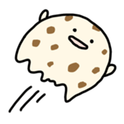 676142523