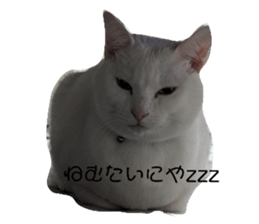 676188705