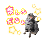 676194748