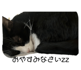 676201815