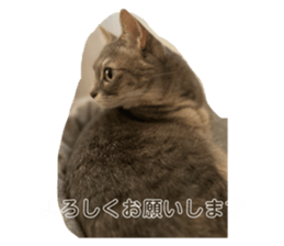 676201816
