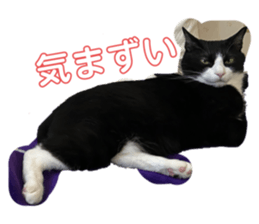 676201828