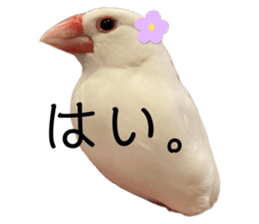 676256597