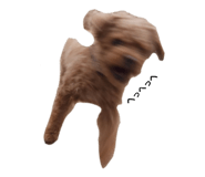 676268969
