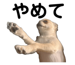 676278049