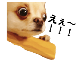 676278051