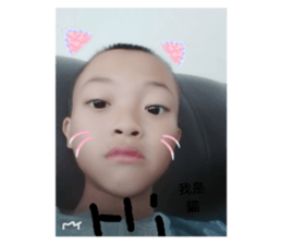 67627987