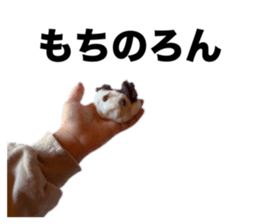 676288906