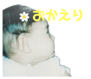 676290084
