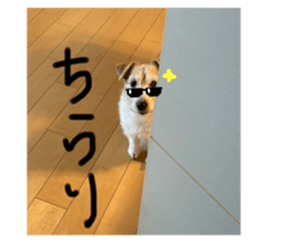 676303224