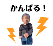 676330311
