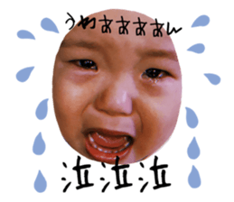 676337475