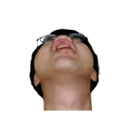 676341991