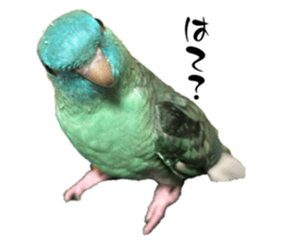 676353186